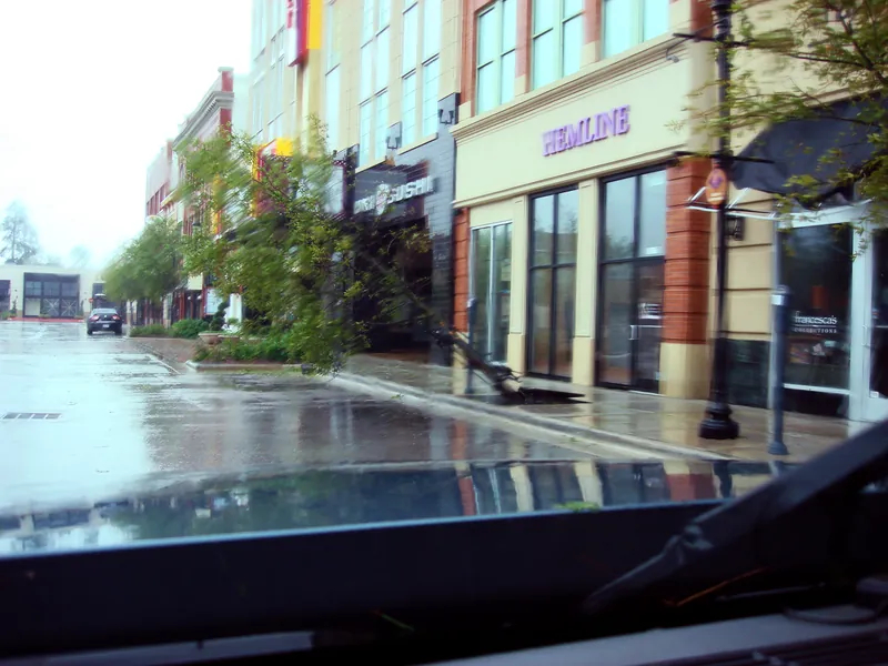 Fallen tree on a Market Street sidewalk Fallen tree on a Market Street sidewalk during Hurricane Ike