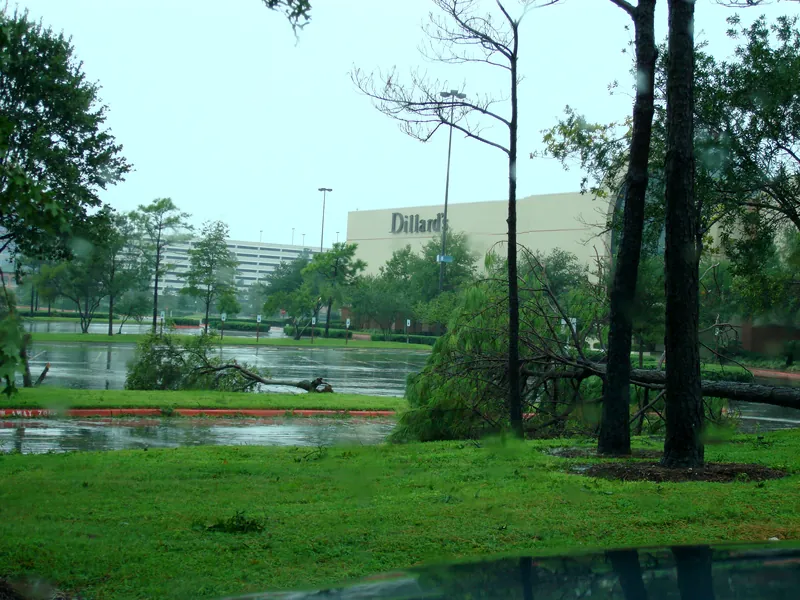 Downed trees near Dillard's at The Woodlands Mall Downed trees near Dillard's at The Woodlands Mall after Hurricane Ike