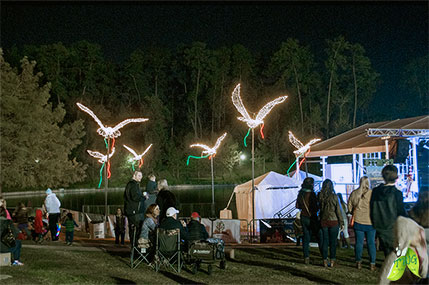Lighting of The Doves The Woodlands