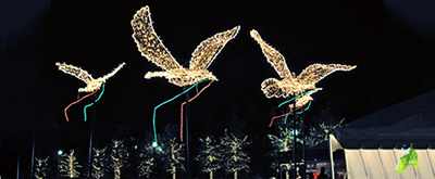 Lighting of the Doves The Woodlands Christmas