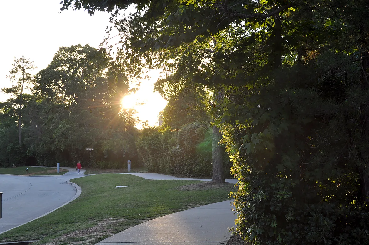 A hike and bike pathway curving past trees at sunset in The Woodlands, Texas