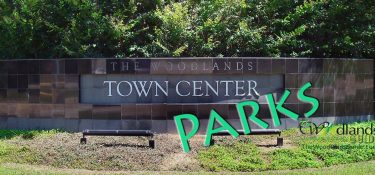 Public Parks in Town Center The Woodlands