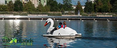 Waterway Swan Paddle Boats The Woodlands